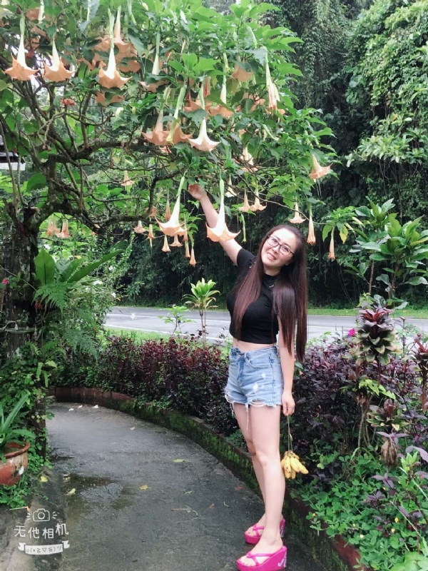 离异单身无子的第二张照片--仙游交友网