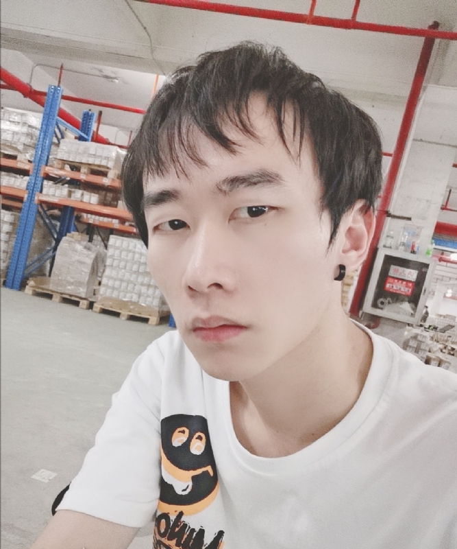 巷子里的猫的第一张照片--仙游交友网