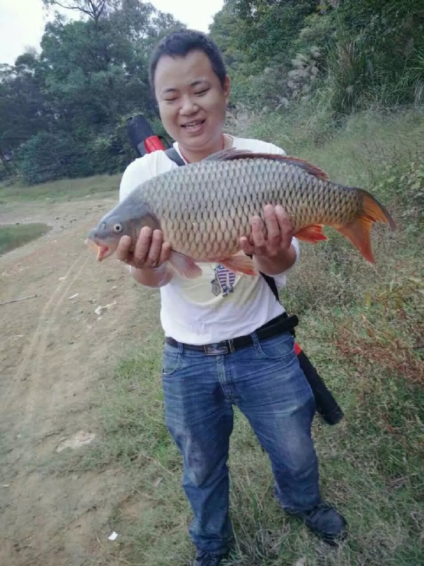迷路的男人的第一张照片--仙游交友网